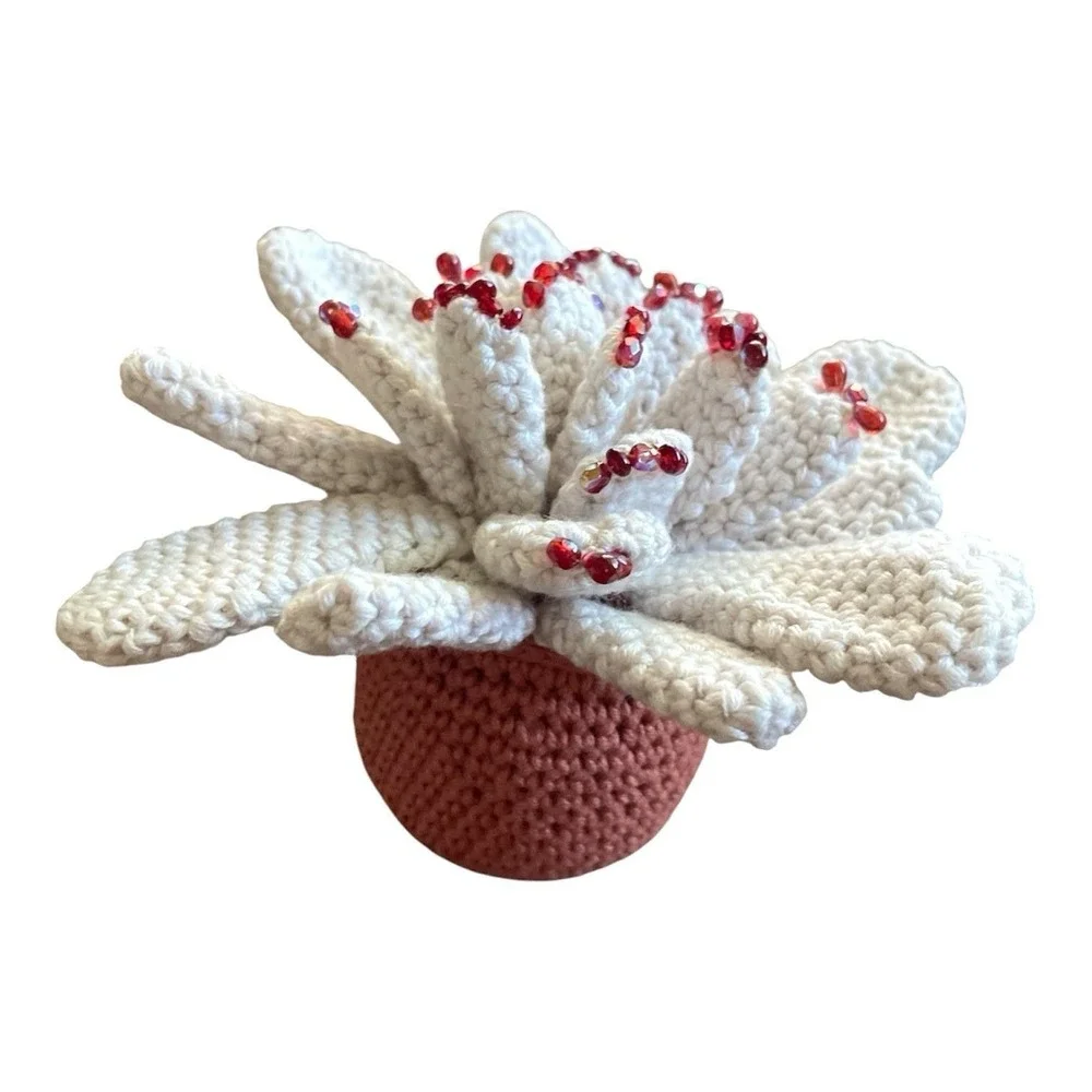 Handmade Succulent with Red Beads Crochet Blooming Cactus Cream Office Decor